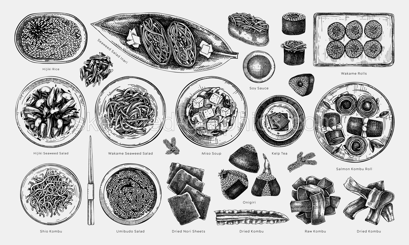 Hand-drawn healthy food vector illustration collection. Edible seaweed dishes sketches with names isolated on white background. Asian cuisine menu design elements in engraved style Illustration